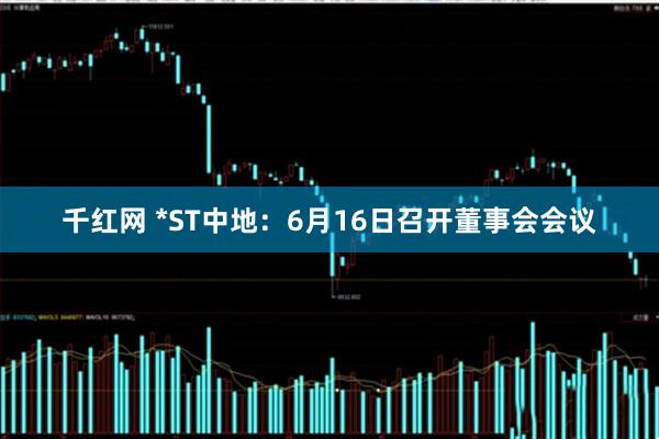 千红网 *ST中地：6月16日召开董事会会议