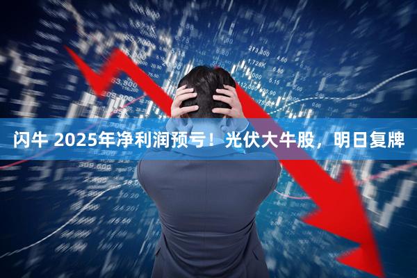 闪牛 2025年净利润预亏！光伏大牛股，明日复牌